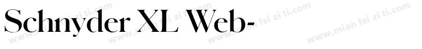 Schnyder XL Web字体转换